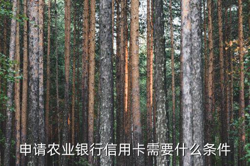 農(nóng)行信用卡要什么條件，什么條件可以申請(qǐng)農(nóng)業(yè)銀行信用卡...